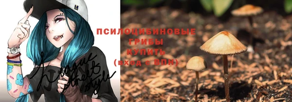 прущие крисы Белая Холуница