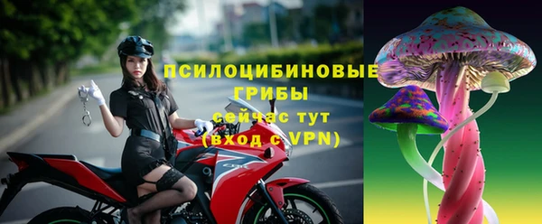 прущие крисы Белая Холуница